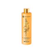 Brelil - Cristalli di Argan - Shampoo Intensive Beauty 250 mL