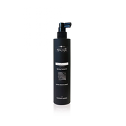 Hair Company Inimitable Style Transforming - spray lisciante 300 mL